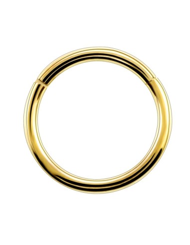 Piercing anneau segment  articulé modèle Aerusto