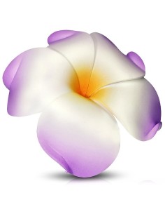 Accessoire cheveux pince fleur de Hawai modèle Benifaz