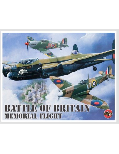 Plaque métal avion Battle of Britain 30 cm x 20 cm