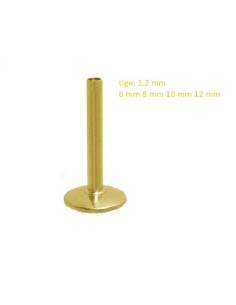 Accessoire piercing tige labret en acier doré 1.2 mm modèle Bisile
