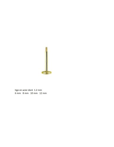 Accessoire piercing tige labret en acier doré 1.2 mm  modèle Busile
