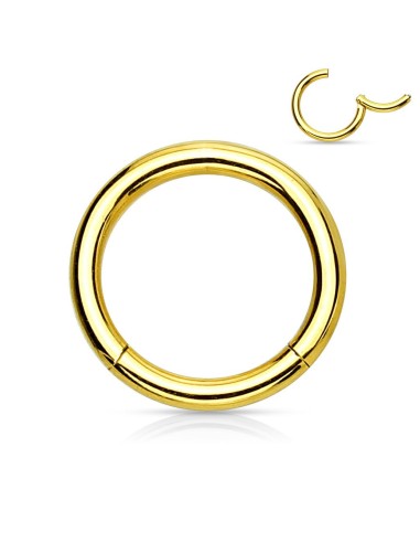 Piercing anneau 10 x 1,6 mm à segment modèle Albane