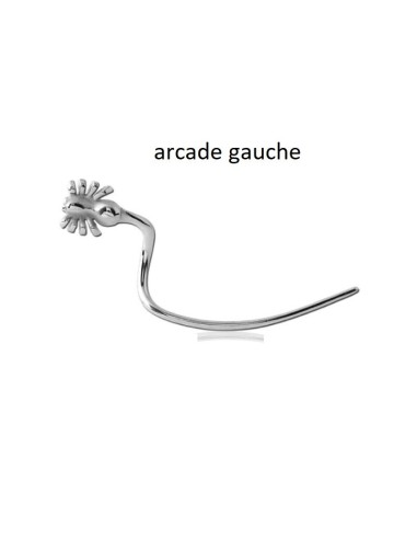 Piercing   arcade araignée côté gauche