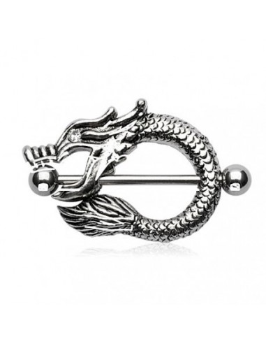 Piercing téton anneau acier dragon Aiden