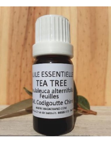 Huile Essentielle de d'Arbre à thé ou Tea tree en 10 ml