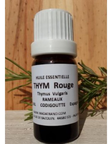 Huile Essentielle Thym rouge ou thymus vulgaris en 10 ml
