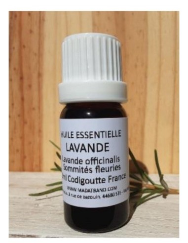 Huile Essentielle de Lavande vraie en 10 ml