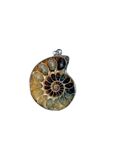 Pendentif Ammonite en 5 cm