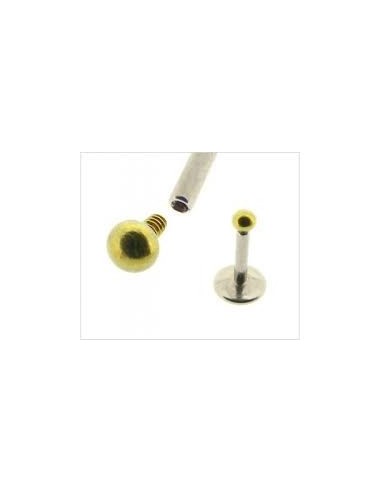 Piercing labret acier 6 mm x 2 mm modèle Abdelia