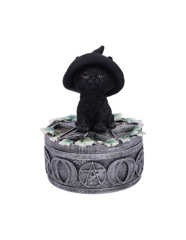 Déco Figurine Chat noir boîte pentacle