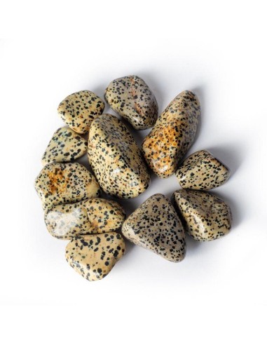 Jaspe Dalmatien pierre polie de qualité A en 4 cm