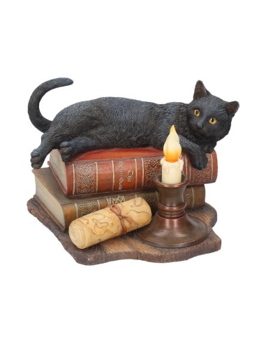 Figurine Witch Familier Chat Noir