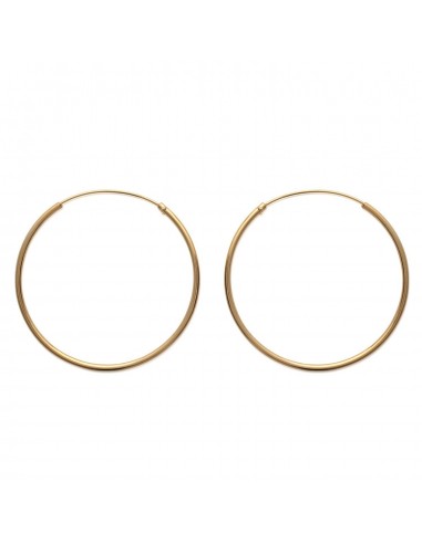 Créoles plaqué or 14 mm modèle