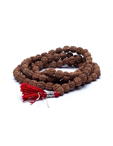 Mala de bois Rudraksha 108 grains