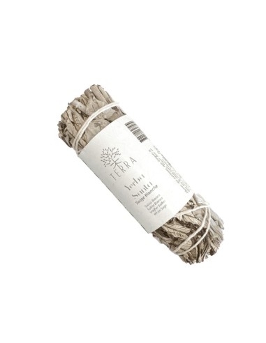 Sauge blanche fagot  ficelle 10 cm