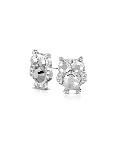 Boucles d'oreilles deux chouettes fantaisies argentées