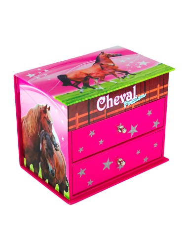 Boîte déco cheval et son poulain