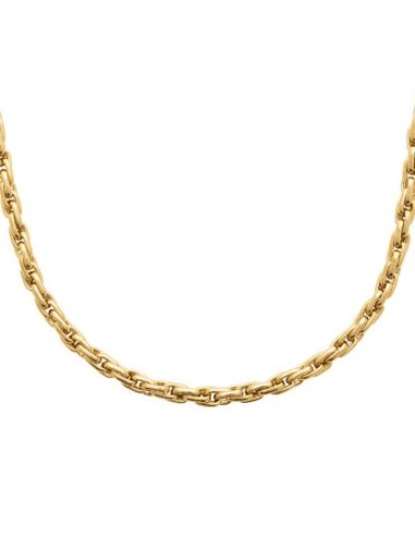 Collier chaîne en acier 316 doré