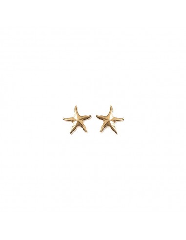 Boucles d'oreille étoile en plaqué or modèle Brenn