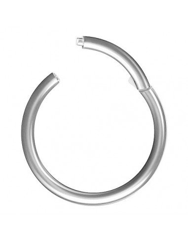 Piercing anneau segment 1.2 mm modèle Avroe